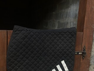 Czaprak Adidas