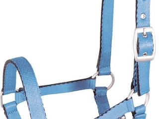 Kantar York Tobi błękitny foal źrebięcy