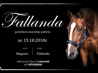 Personalizowane tabliczki na boksy ze zdjęciem Twojego wierzchowca