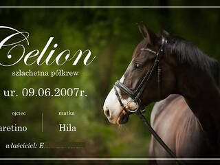 Tabliczki na boksy ze zdjeciami