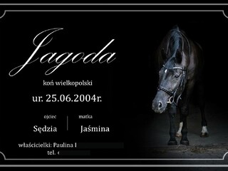 Personalizowane tabliczki na boksy ze zdjęciem Twojego wierzchowca