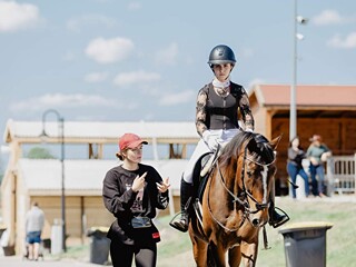 Dzierżawa koni, trening jeźdźów, par koń+jeździec, koni