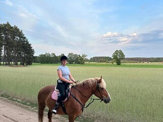 Klacz do dzierżawy do przeniesienia Nowy Tomyśl piękne lasy tereny