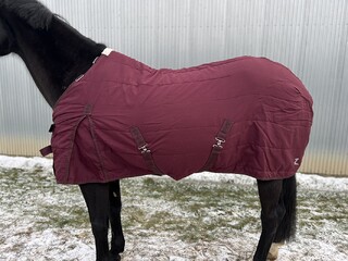 Derka Horze 145 cm, z lekkim wypelnieniem