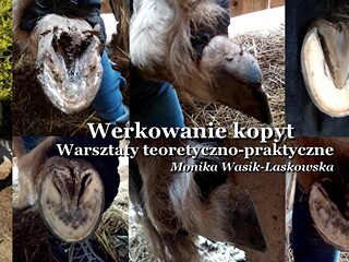 Warsztaty z werkowania kopyt teoria i praktyka 04-05 październik