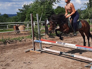 Sprzedam dwa małe kucyki