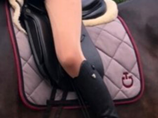 czaprak cavalleria toscana