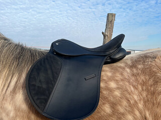 Nowe siodło 16,5 HARRY HORSE