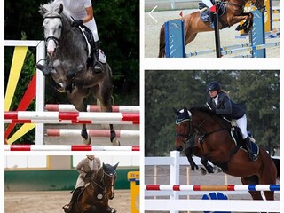 Trening skokowy,ujezdzeniowy Łódzkie