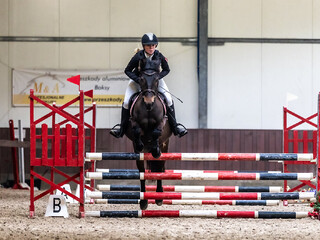 sprzedam kuca D grupy