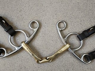 Neue Schule Salox Pelham