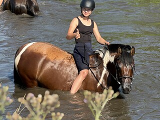 8 letnia pięknie malowana hucułka