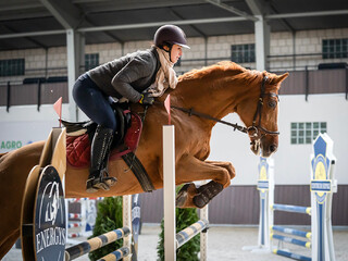 Profesor do wprowadzenia w sport