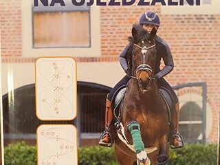 Książka Figury na ujeżdżalni