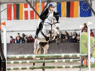 Sprzedam Klacz Do Sportu