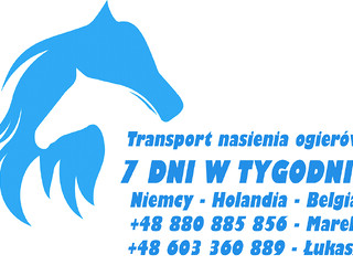 TRANSPORT NASIENIA