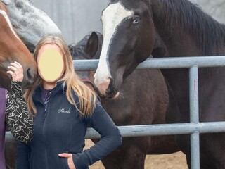 bluza Steeds Kiki , r. M , niebieska, damska, polarowa, jak nowa