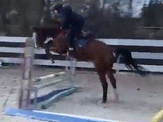 Klacz 6 lat niesamowity talent skokowy!!!  filmy na watsapa