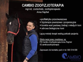 Fizjoterapia koni