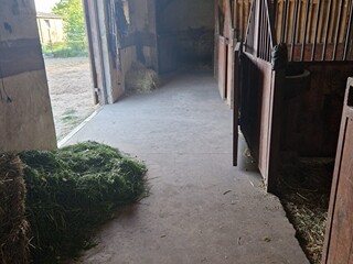 Stajnia Caballo - rodzinna atmosfera, spokój i azyl którego szukasz dla swojego konia!