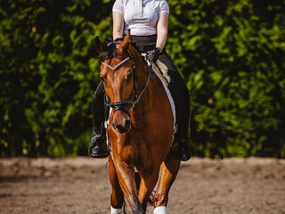 Pilna sprzedaż ! Możliwość zakupu z przyczepa !