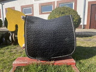 Czaprak Kentucky velvet