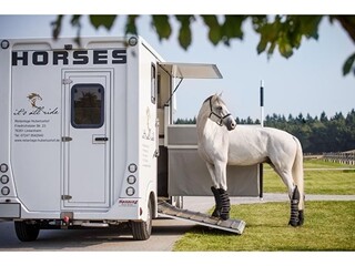 ochraniacze Thermo Master Journey, r. PONY, transportowe, komplet, 4 szt, NOWE
