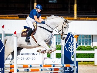 Mam Konia do Dzierżawy-3x w tygodniu