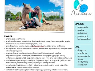 Konsultacja behawioralna konia