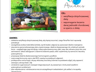 Konsultacja dietetyczna dla konia z lekarzem weterynarii