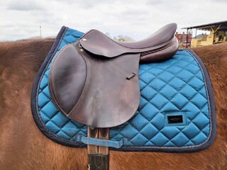 Amerigo Vesuvio 17,5K, M -0,5