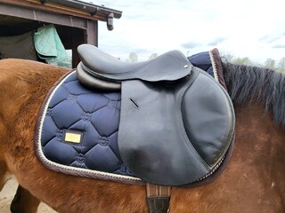 Jump'in One Harve Gudignon 17,5