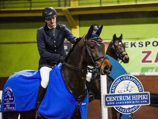Top koń sportowy | Doświadczony GP | Współdzierżawa