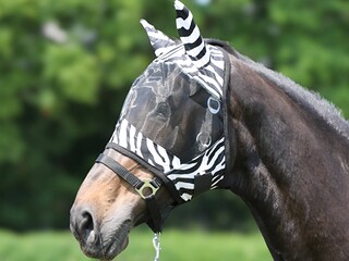 Maska moskitiera przeciw owadom zebra rozm. full SZYBKA WYSYŁKA!