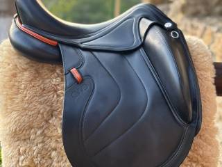 CWD DRESSAGE 16.5