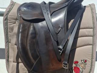 Kieffer Olympia Brązowe 17.5