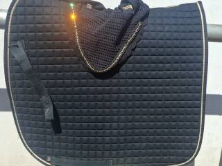 Eskadron Heritage Atique Green komplet FULL