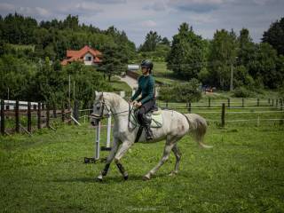 Sprzedam klacz