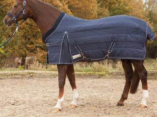 Derka stajenna Waldhausen 100 g 145 cm
