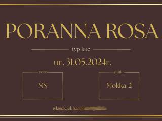Personalizowane tabliczki na boksy - brąz | złoto