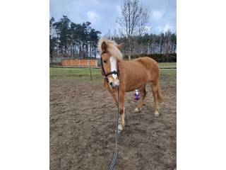 Pensjonat dla emerytów