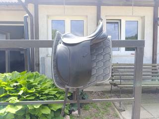 ANKY DRESSAGE 17