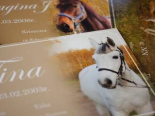 Personalizowane tabliczki na boksy