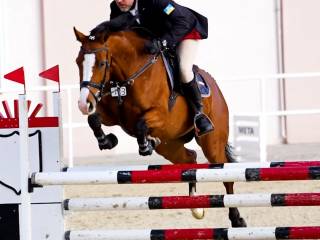 5-letnia klacz do sportu  –  Cassalco / Cassall