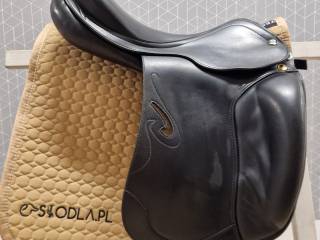 Prestige Dream Dressage