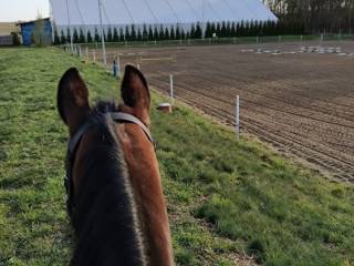 Boksy w kameralnym pensjonacie pod Mszczonowem