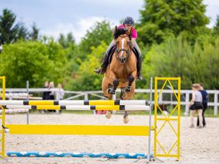 Piękna klacz doświadczona w konkursach L,P,N