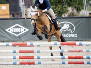 Kuc grupy D 147cm do sportu