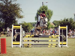 Sprzedam / wydzierżawię  Siwa Klacz!