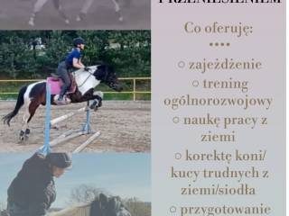 Przyjmę w trening konie/kuce i pary koń-jeździec
